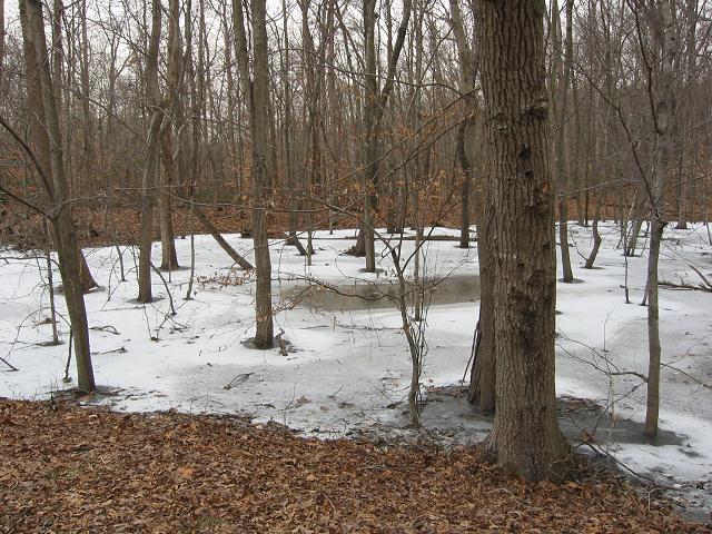 Winter afternoon, Carderock, Maryland