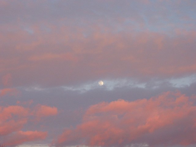 Late fall moon rise, Fairfax, Virginia