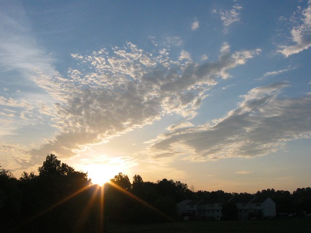 Spring Morning, Chantilly, Virginia