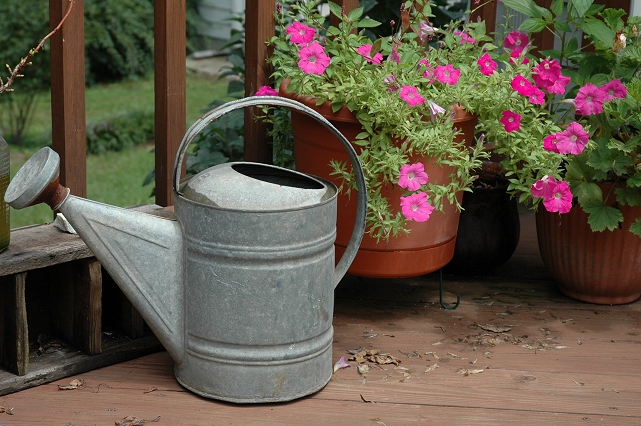 Watering can and flowers, Lanham-Seabrook, Maryland