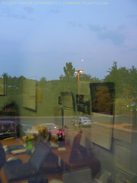 View from office window, Chantilly, Virginia