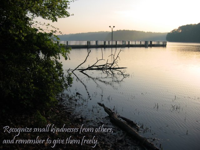 Morning, Burke Lake, Fairfax, Virginia