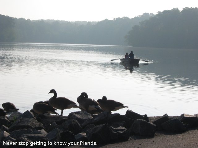 Summer morning, Burke Lake, Fairfax, Virginia