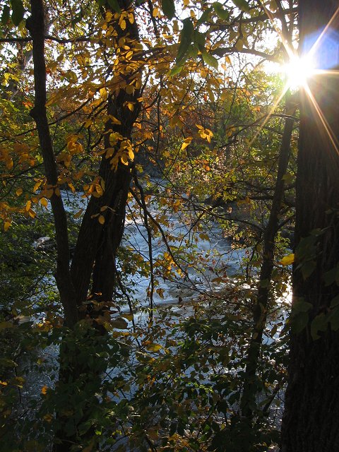 Great Falls National Park, Tow Path, Maryland side