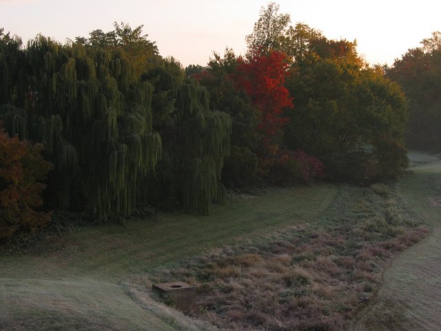Frosty autumn morning, Fairfax, Virginia