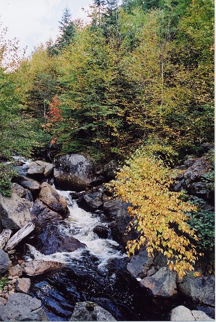 Jacques Cartier Park, Quebec, Canada