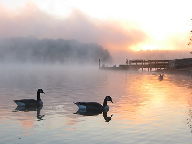 Morning, Burke Lake Park, Farifax, Virginia