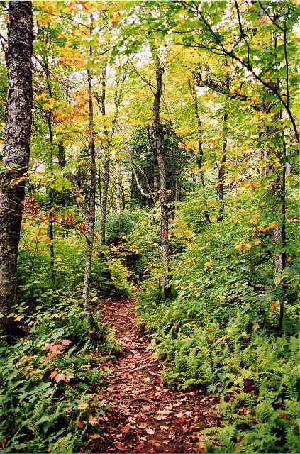Sentier du Toit des Laurentides, Parc du Mont Tremblant, Quebec, Canada
