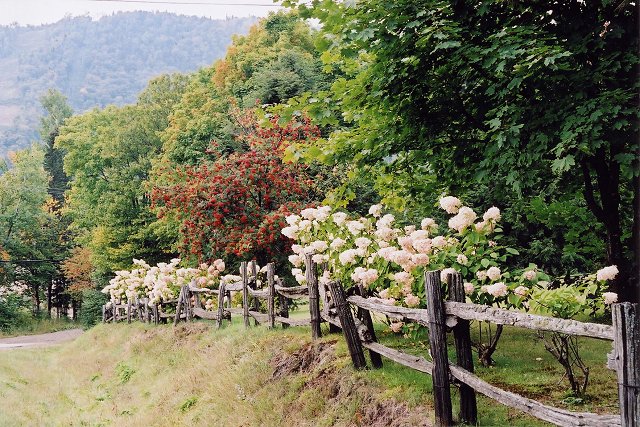 Stoneham, Quebec, Canada
