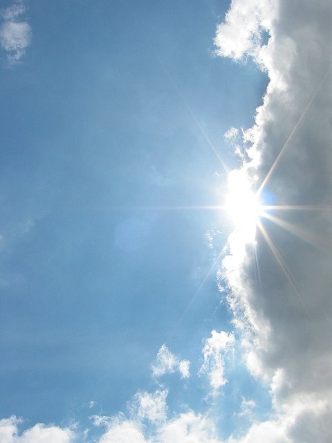 Midday sun, Fairfax, Virginia