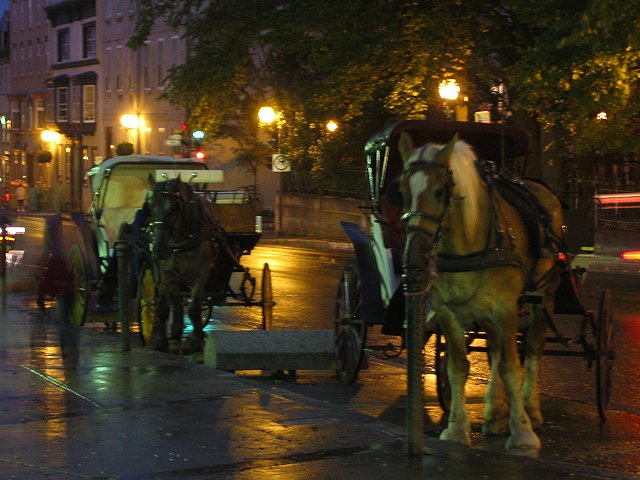 Horse Carriages outside the Garrison Club, Quebec City, Canada