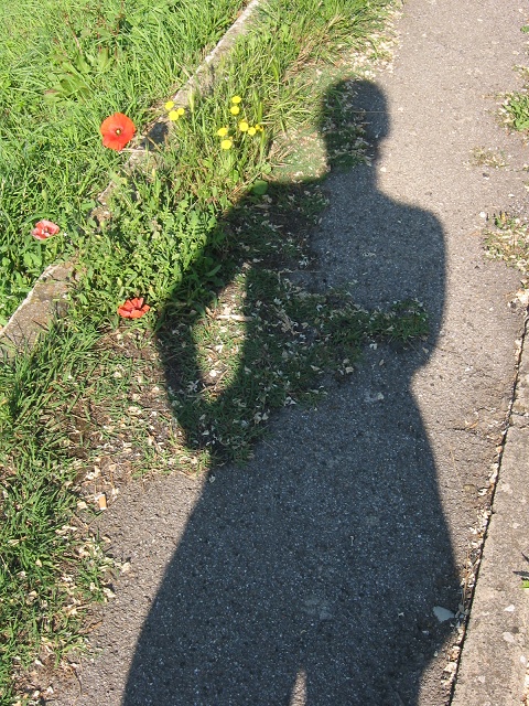 Morning shadow, Bagnoro, Tuscany, Italy