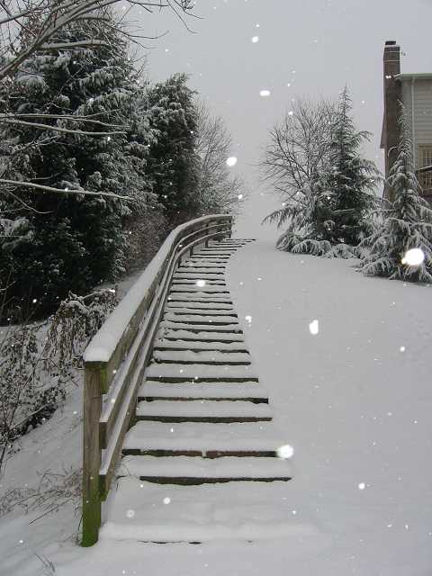First snow of 2003, Fairfax, Virginia
