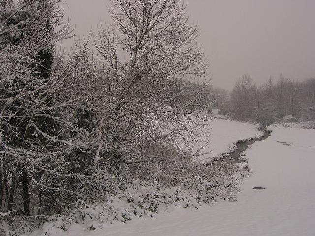 First snow of 2003, Fairfax, Virginia