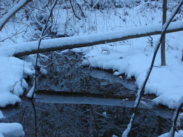 First snow of 2003, Fairfax, Virginia