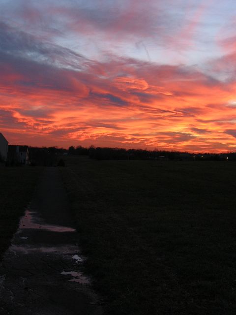 Winter Sunset, Fairfax, Virginia