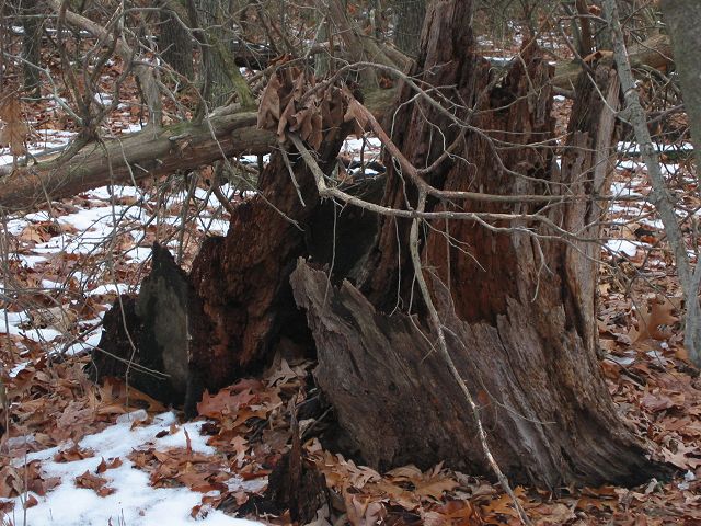 Elizabeth C. Lawrence Park, Centreville, Virginia