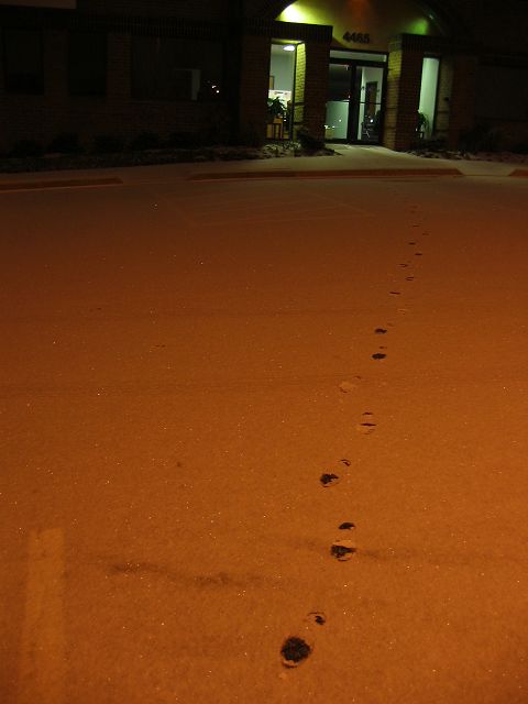 First steps in snow, Fairfax, Virgina
