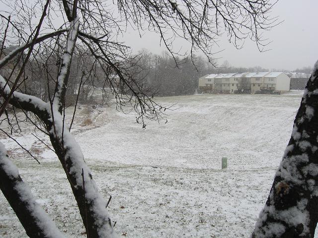 Unexpected snowstorm, Fairfax, Virginia