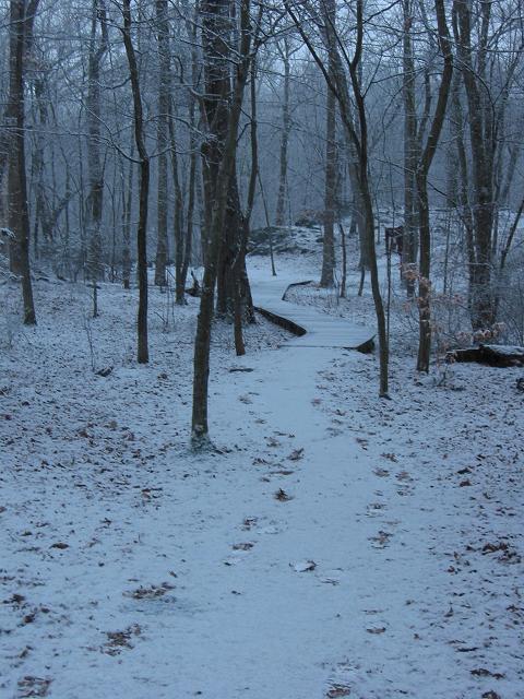 Snowstorm, Carderock, Maryland
