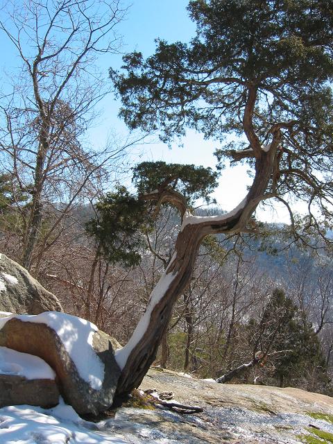 White Oak Canyon, Shenandoah National Park, Virginia