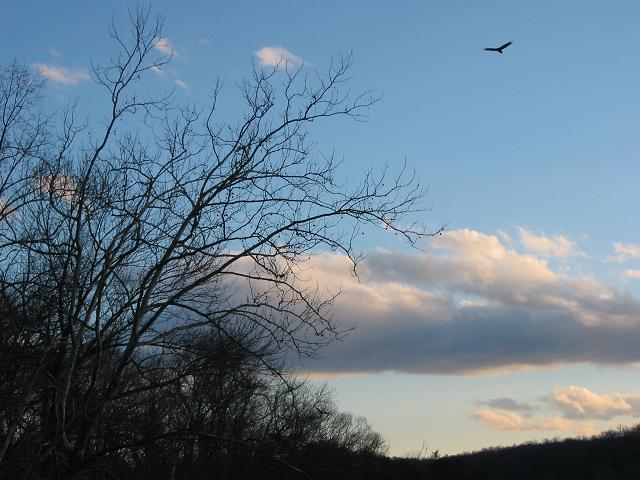 Winter Afternoon, Great Falls National Park, Maryland