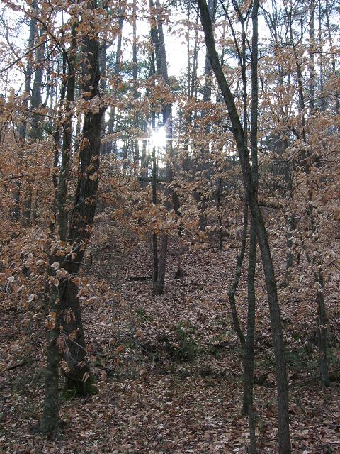 Chattahoochee River International Recreation Area