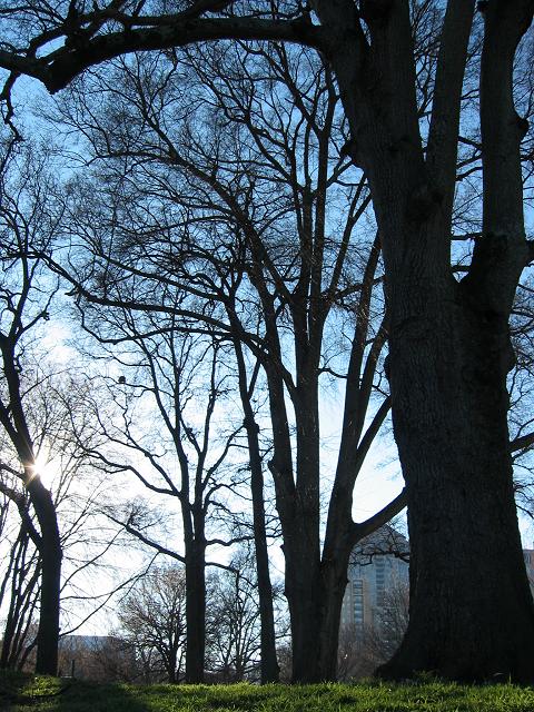 Piedmont Park, Atlanta, Georgia