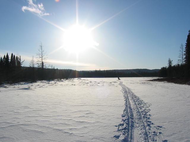 Dog sledding across a lake, Minnesota