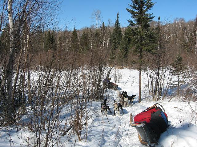 Taking a break on the trail, dog sledding, Minnesota