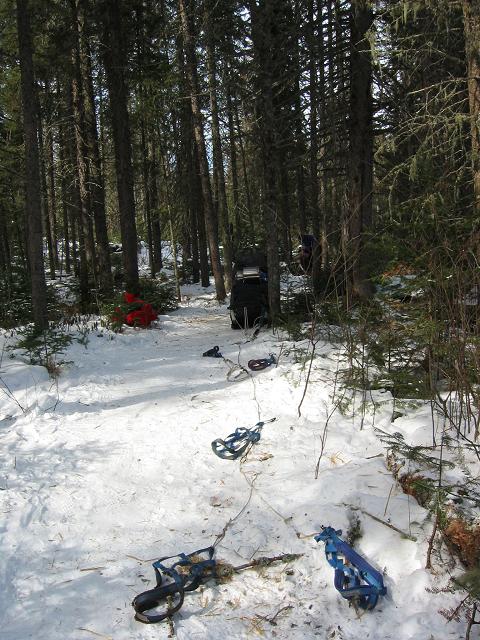Ready to harness the dogs, Minnesota