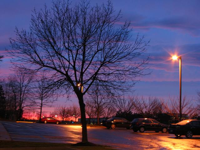 Early spring sunset after rainstorm, Chantilly, Virginia