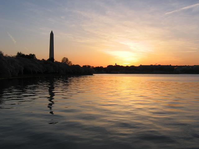 Washington Monument at dawn, from Tidal Basin during Cherry Blossom Festival