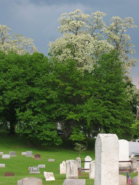 Cemetary, Camp Hill, Pennsylvania