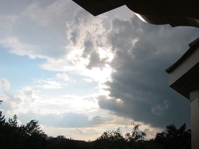 Just after spring rainstorm, Fairfax, Virginia