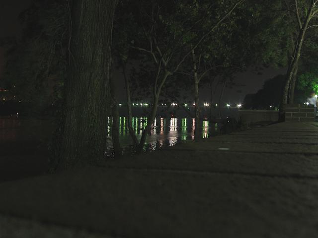 Potomac River through trees, Georgetown