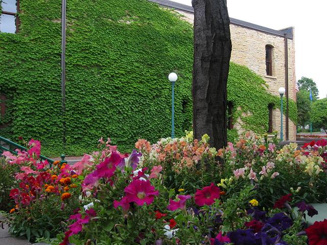 Flowers, Minneapolis, Minnesota