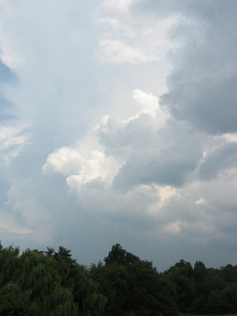 Summer afternoon clouds, Fairfax, Virginia