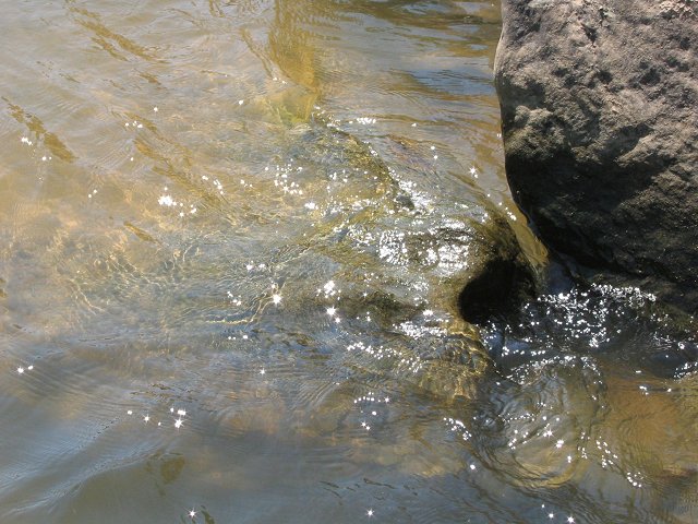 Potomac River on rocks, Great Falls National Park, Virginia