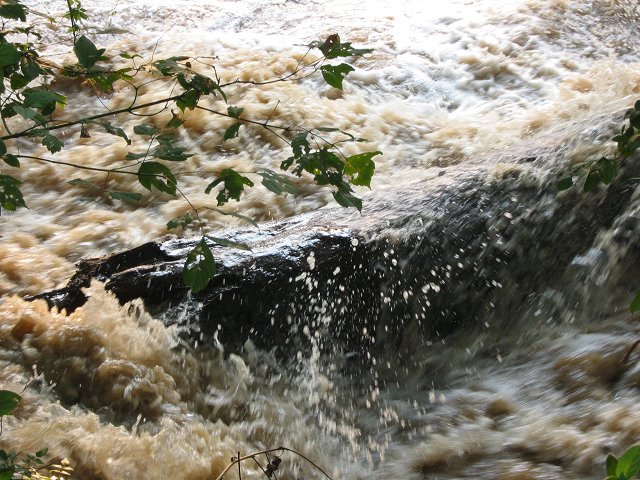 Flooded Potomac River, after Isabel, Great Falls National Park