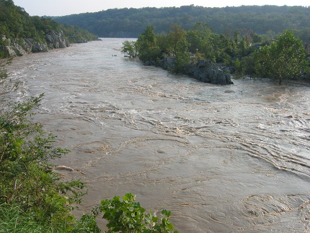 Flooding Potomac, after Hurrican Isabel, from Tow Path, Great Falls National Park