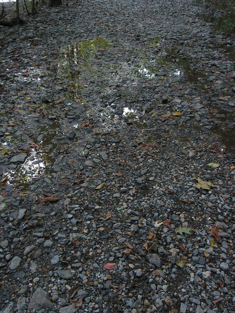 Trail in Great Falls National Park, Virginia