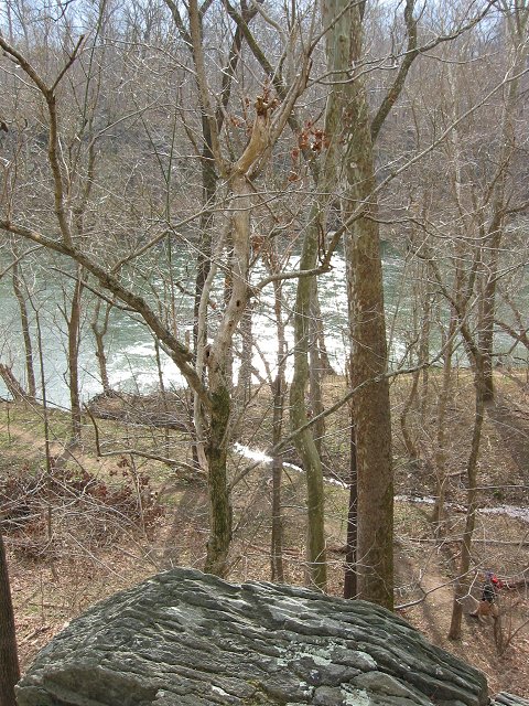 Potomac River through trees in spring, Carderock, Maryland