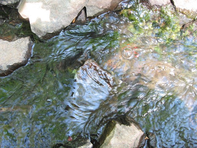 Stream along Billy Goat Trail, section C, Great Falls, Maryland
