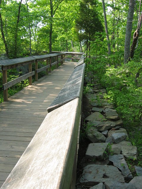 Bridge en route to overlook, Great Falls National Park, Maryland