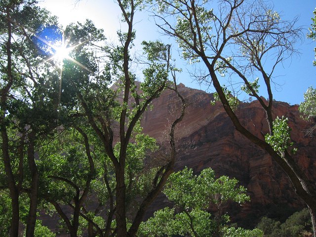 The Grotto, Zion National Park, Utah