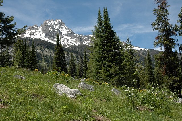 Lupine Meadows Trail, Grand Teton National Park, Wyoming