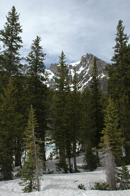 Lupine Meadows Trail near Ampitheater Lake, Grand Teton National Park, Wyoming