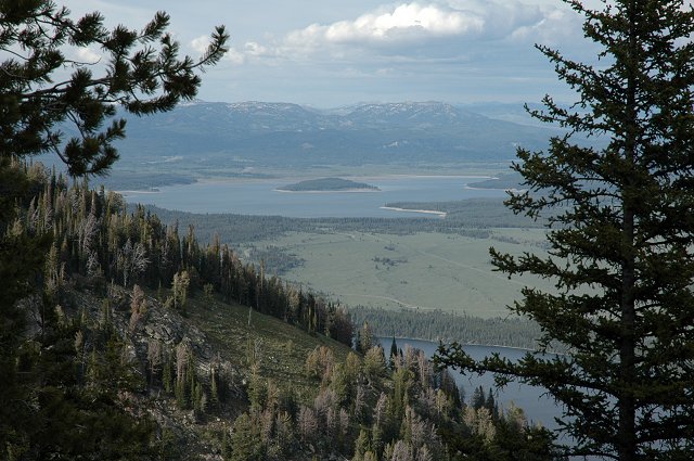 Lupine Meadows Trail, Grand Teton National Park, Wyoming