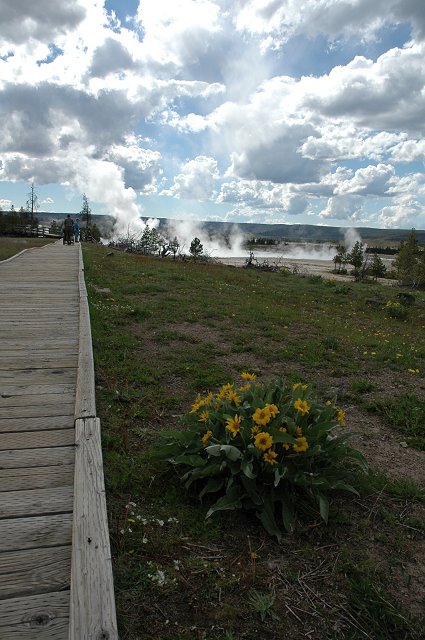 Fountain Paint Pot area, Yellowstone National Park, Wyoming